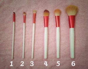 6 out of 7 of the essential makeup brushes