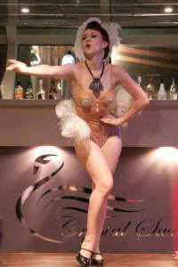 Performing at a private function.