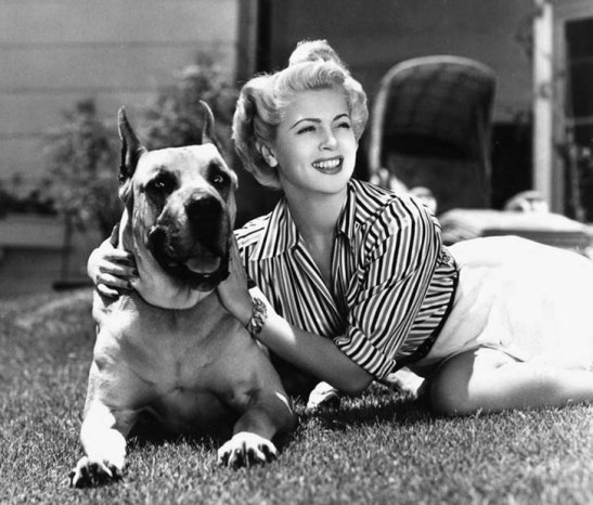 lana-turner-dog