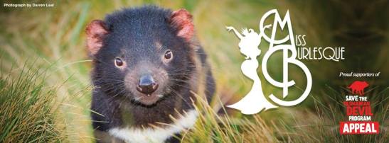 11230579_882785851760057_654708351151739201_n