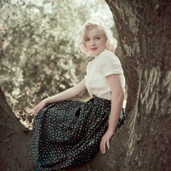 12321183_10154747824498986_5065826597378721547_n