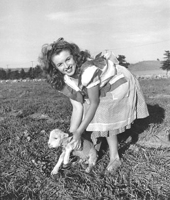 Marilyn Monroe (28)