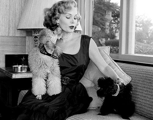 ac33849035135fdcdcb5306931c4e447